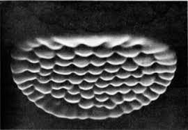 thermo–diffusive instability